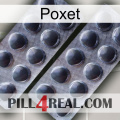 Poxet 31